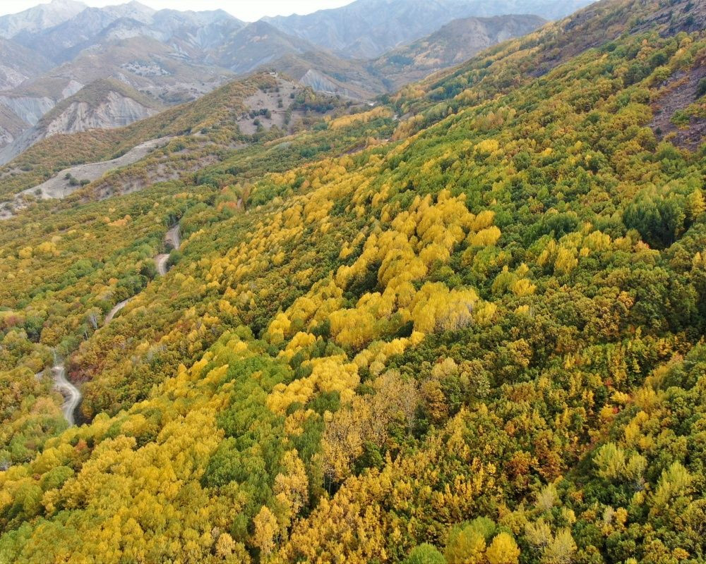 Her renkten ağaç görmek mümkün! Sonbaharda Tunceli'den kartpostallık görüntüler - Sayfa 9