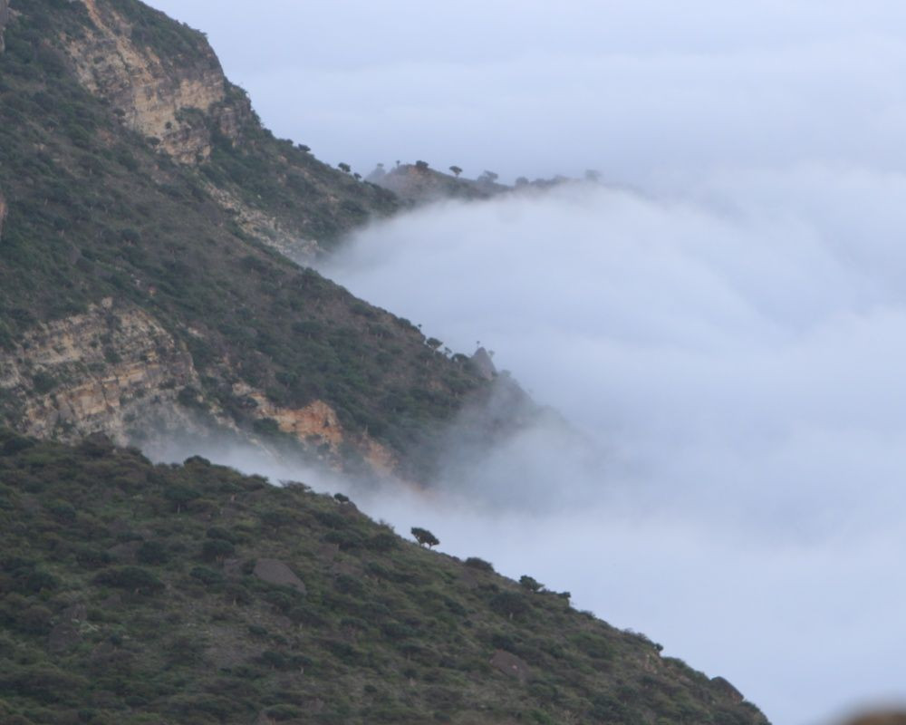 Bulutların üzerine çıkmak isteyen doğa tutkunlarının adresi: Umman 'Semhan Dağı' - Sayfa 20