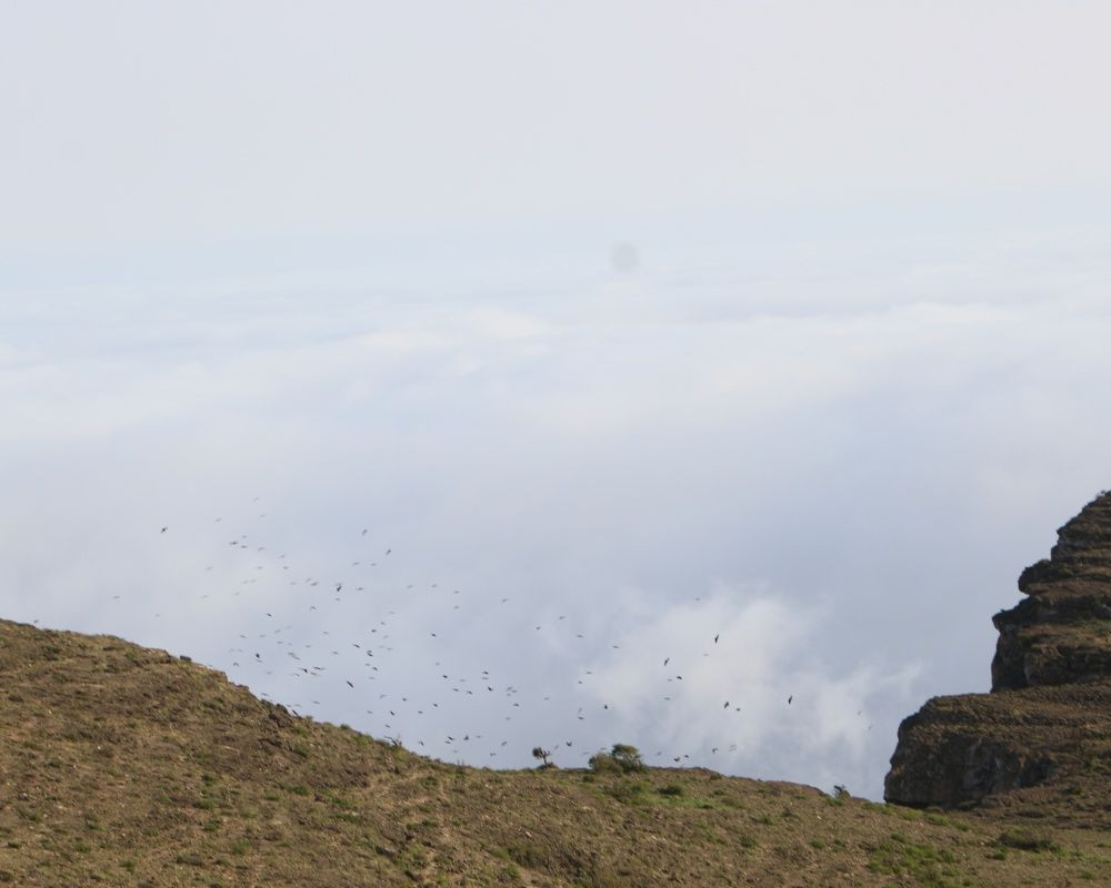 Bulutların üzerine çıkmak isteyen doğa tutkunlarının adresi: Umman 'Semhan Dağı' - Sayfa 29