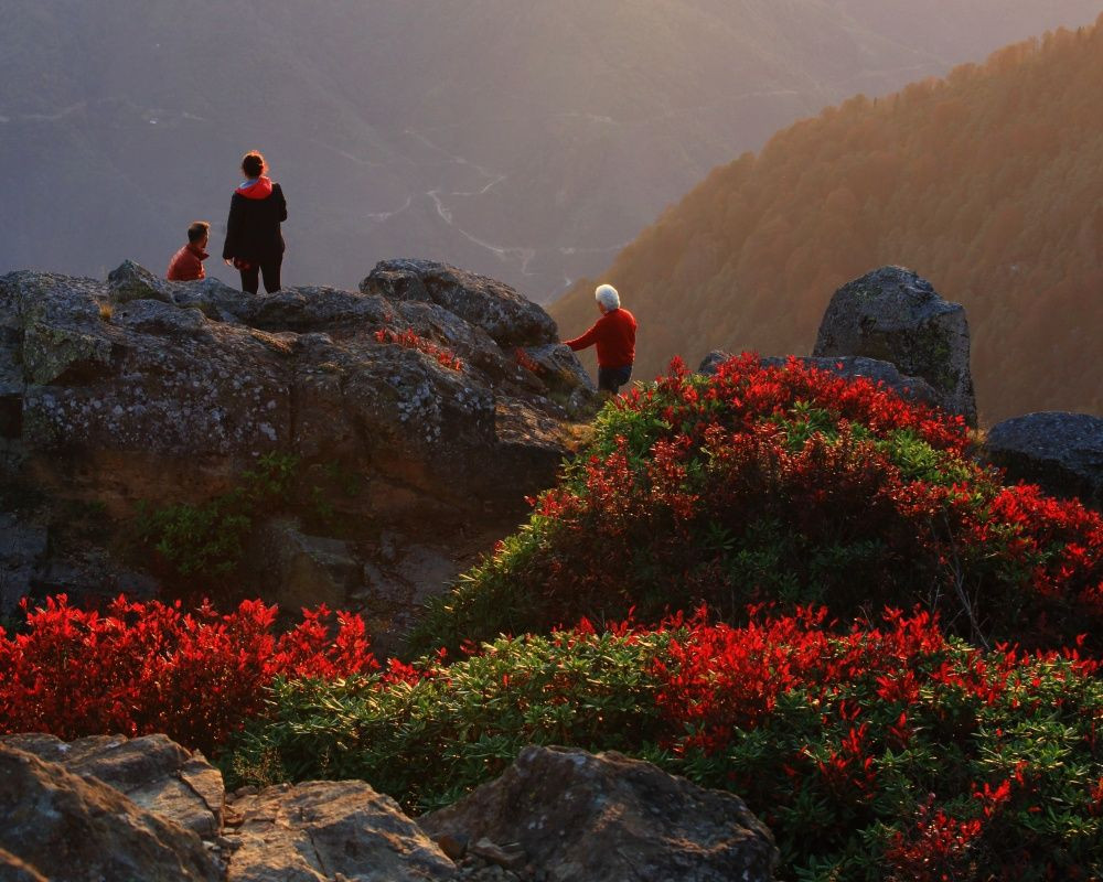 Fotoğraf tutkunlarının Karadeniz'deki ilk adreslerinden biri: 'Sis Dağı Yaylası' - Sayfa 8