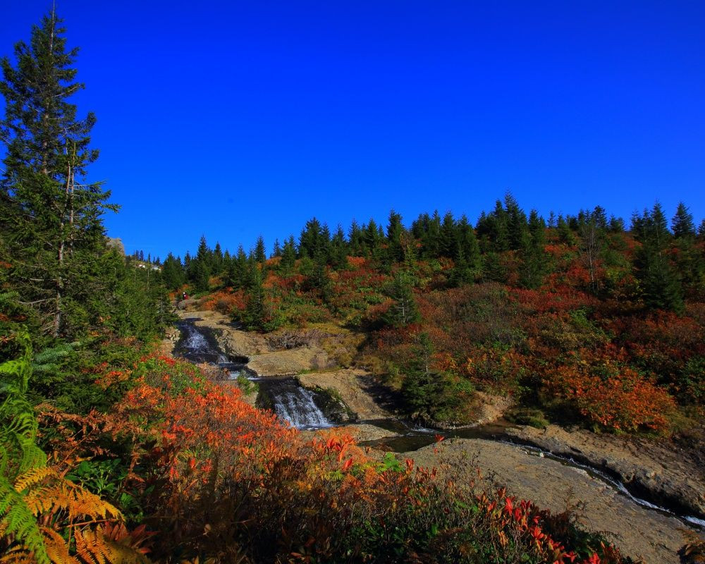 Fotoğraf tutkunlarının Karadeniz'deki ilk adreslerinden biri: 'Sis Dağı Yaylası' - Sayfa 9