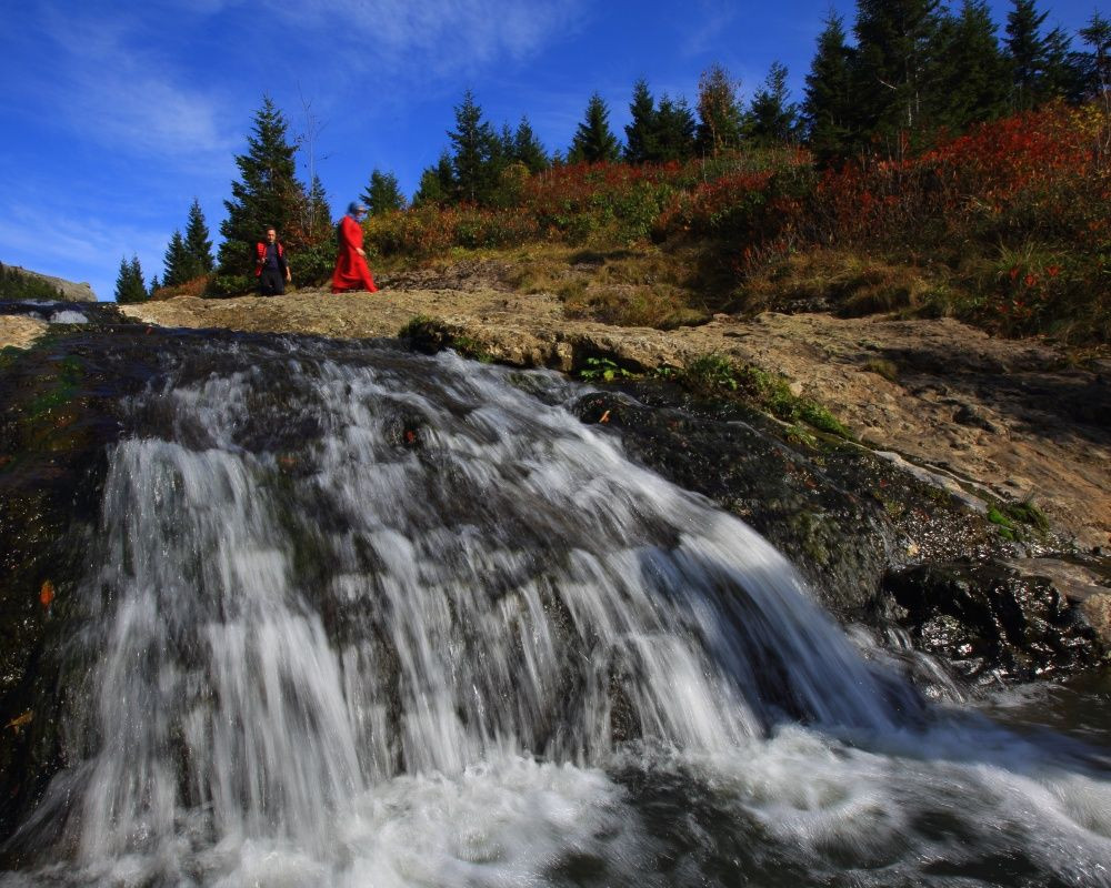 Fotoğraf tutkunlarının Karadeniz'deki ilk adreslerinden biri: 'Sis Dağı Yaylası' - Sayfa 10