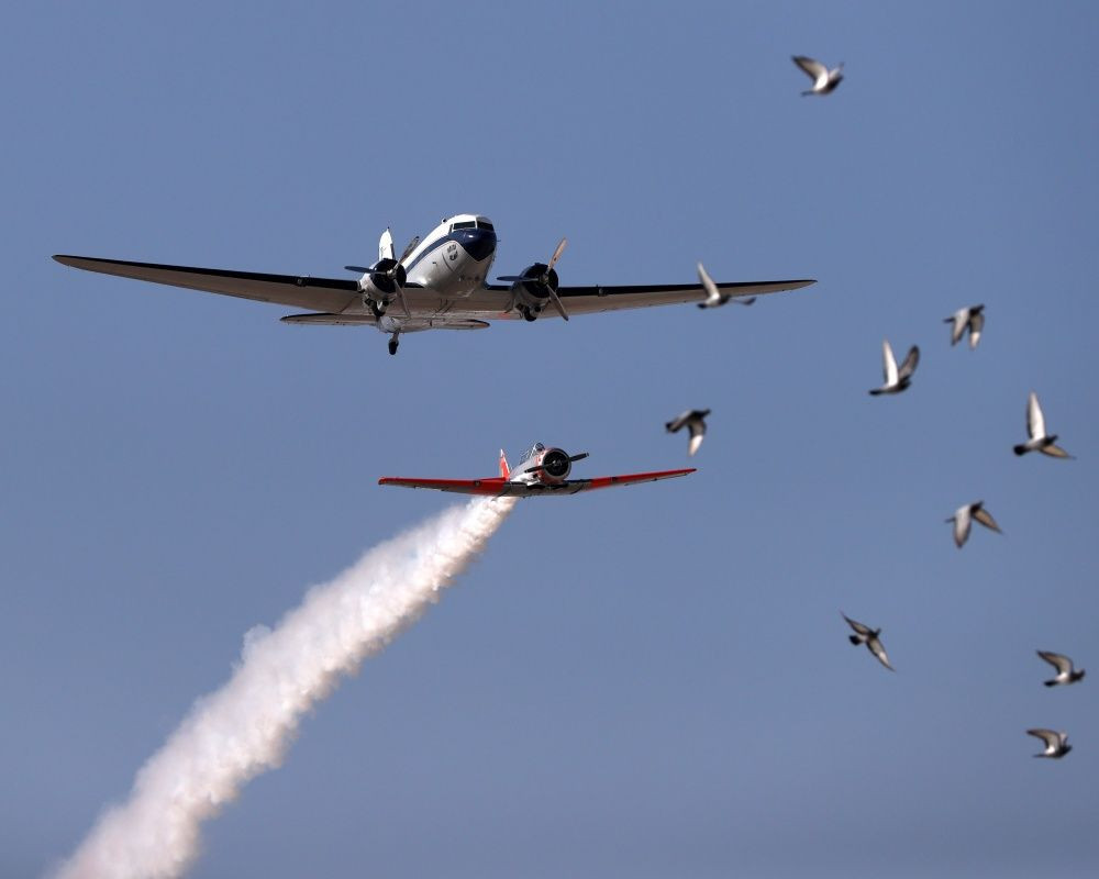 Eskişehir'de 29 Ekim Cumhuriyet Bayramı'na özel gösteri düzenlendi - Sayfa 5