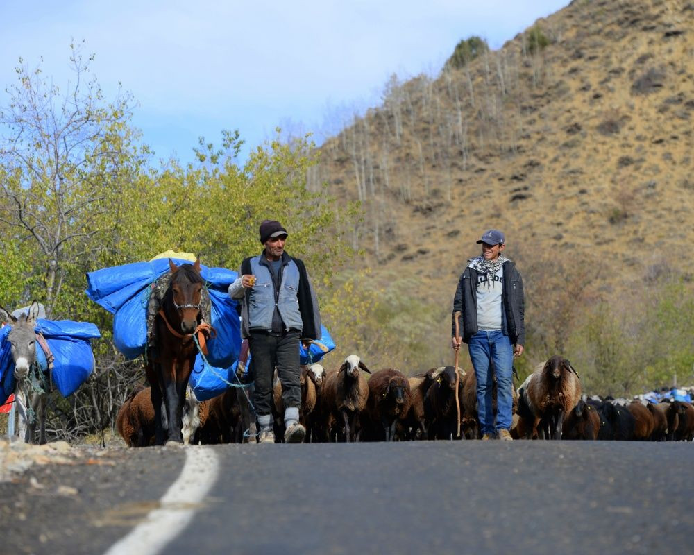 Bingöl'ün Yedisu ilçesinde sonbahar güzelliği - Sayfa 6