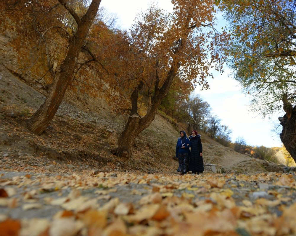 Bingöl'ün Yedisu ilçesinde sonbahar güzelliği - Sayfa 14
