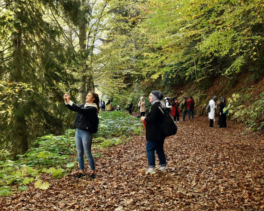 Yüzlerce yıllık devasa ağaçlara ev sahipliği yapan 'canlı ağaç müzesi' Örümcek Ormanları'nda sonbahar - Sayfa 6