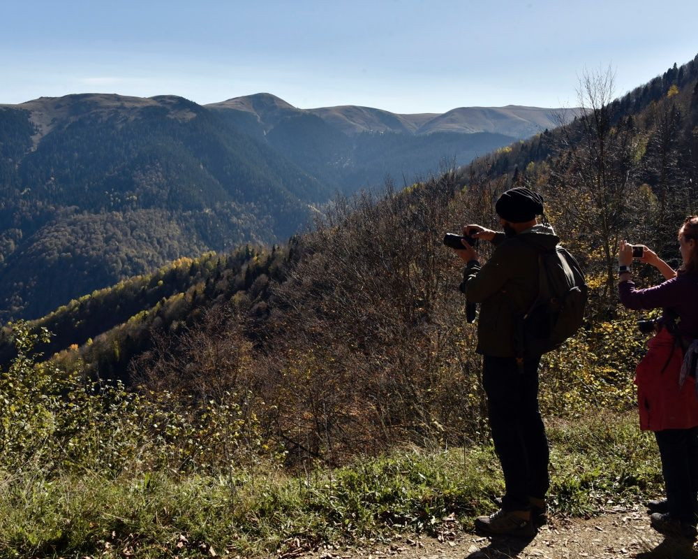 Yüzlerce yıllık devasa ağaçlara ev sahipliği yapan 'canlı ağaç müzesi' Örümcek Ormanları'nda sonbahar - Sayfa 10