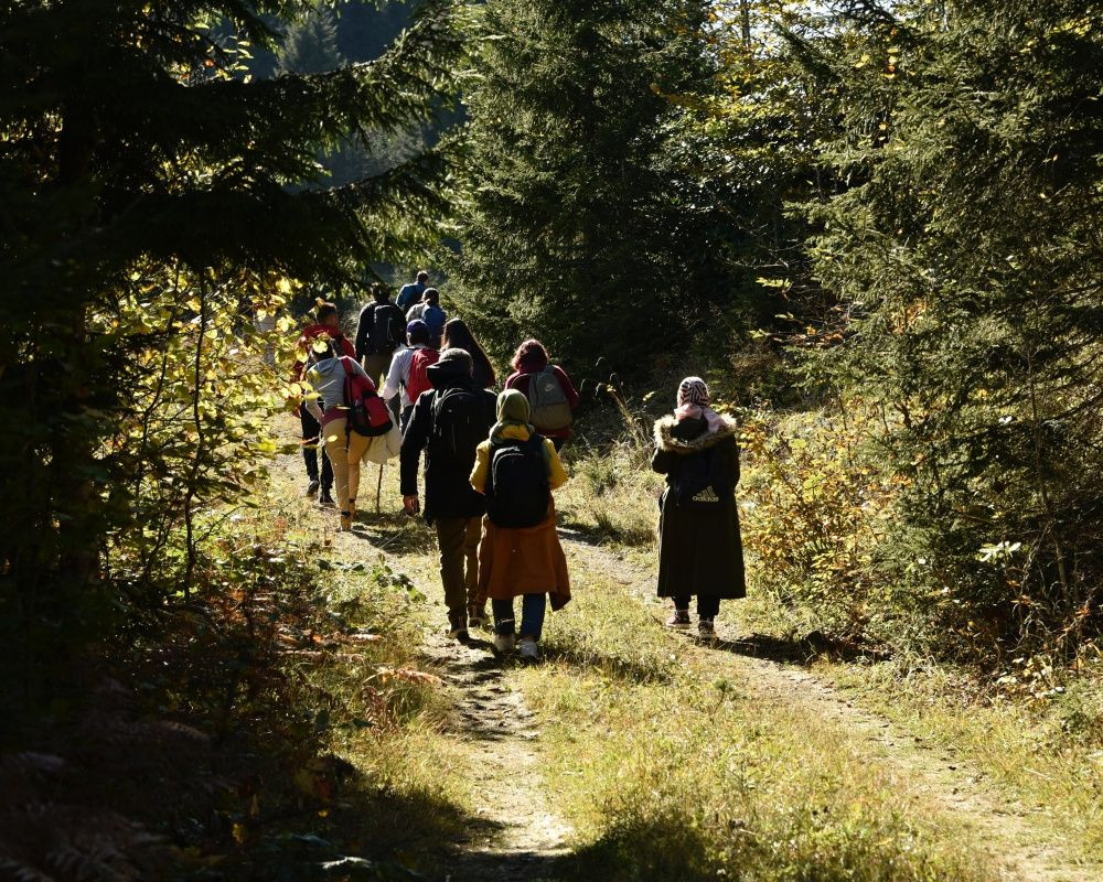 Yüzlerce yıllık devasa ağaçlara ev sahipliği yapan 'canlı ağaç müzesi' Örümcek Ormanları'nda sonbahar - Sayfa 11