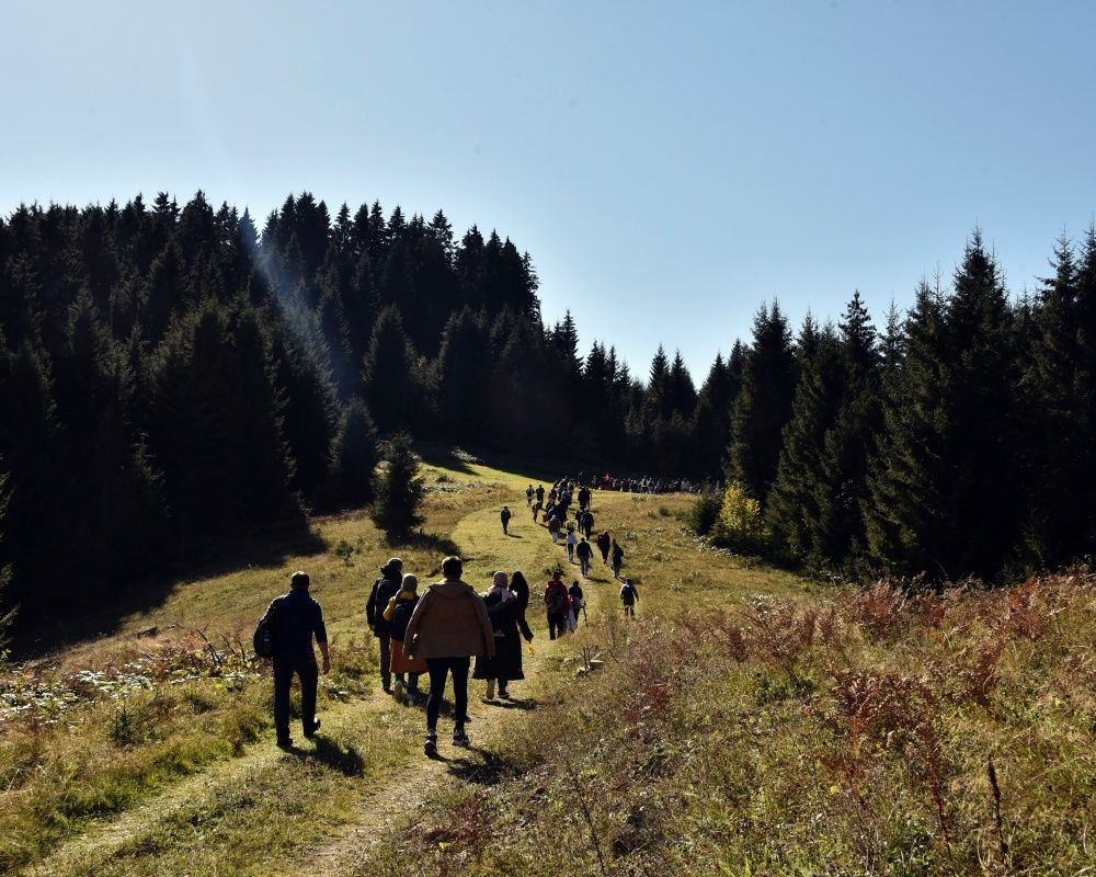 Yüzlerce yıllık devasa ağaçlara ev sahipliği yapan 'canlı ağaç müzesi' Örümcek Ormanları'nda sonbahar - Sayfa 12