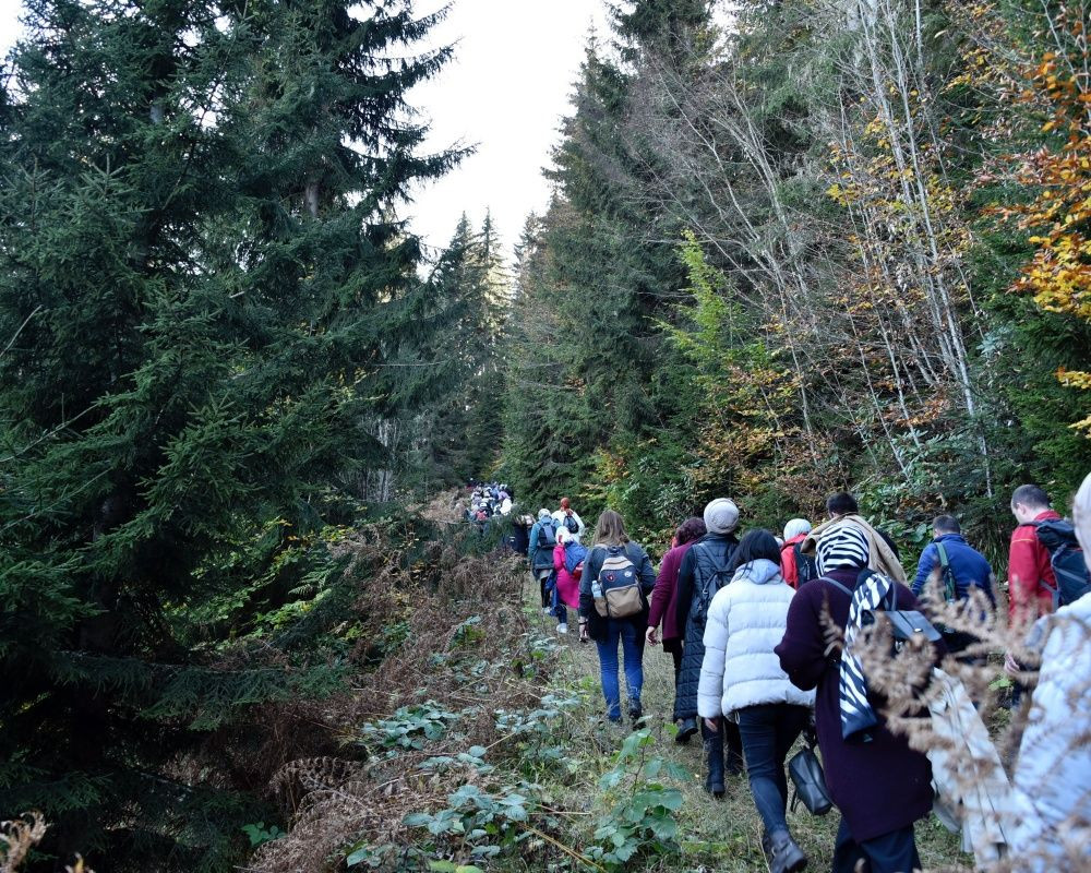 Yüzlerce yıllık devasa ağaçlara ev sahipliği yapan 'canlı ağaç müzesi' Örümcek Ormanları'nda sonbahar - Sayfa 14