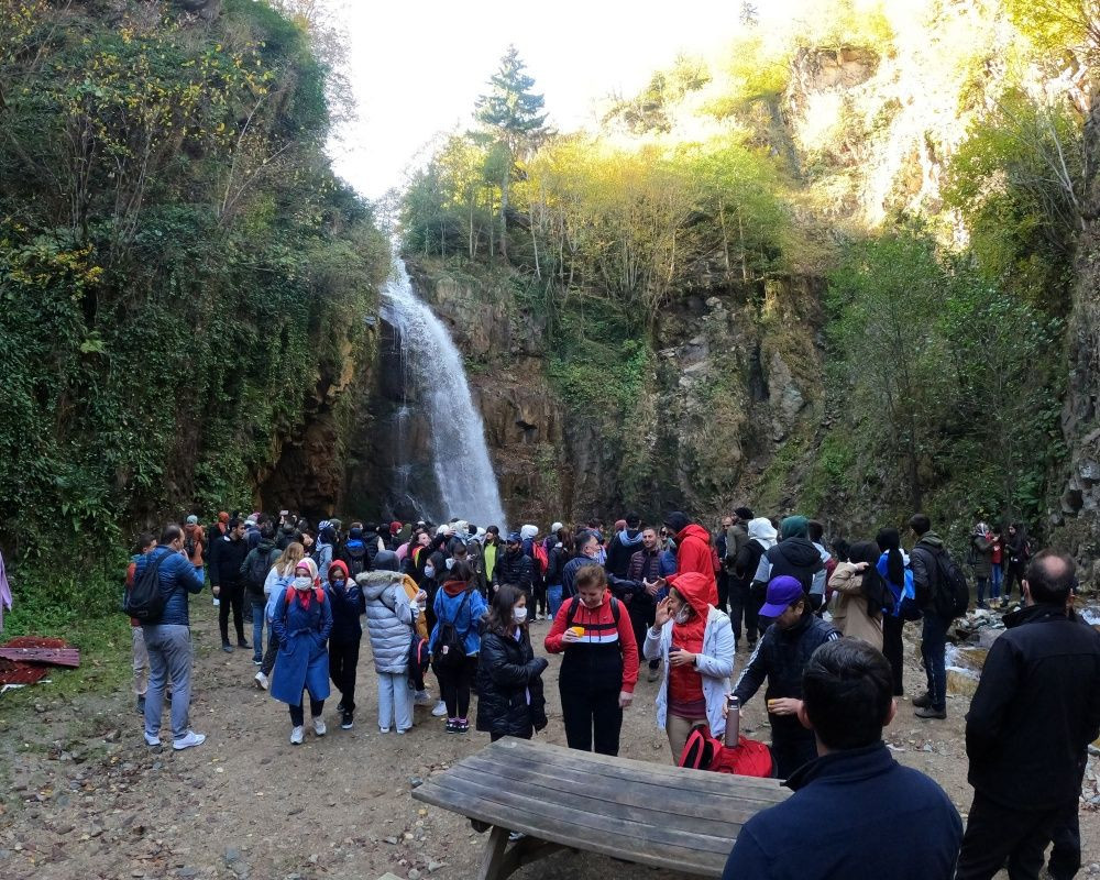Yüzlerce yıllık devasa ağaçlara ev sahipliği yapan 'canlı ağaç müzesi' Örümcek Ormanları'nda sonbahar - Sayfa 15