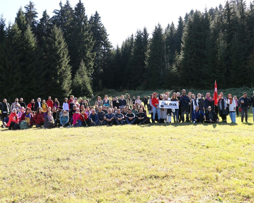Yüzlerce yıllık devasa ağaçlara ev sahipliği yapan 'canlı ağaç müzesi' Örümcek Ormanları'nda sonbahar - Sayfa 16