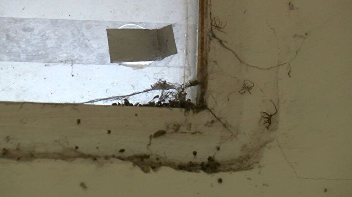 Kadıköy'de penceresiz 'doğa manzaralı' ev için istenen kira hayrete düşürdü!  Emlakçı 'Rağbet çok, beğenmeyen gelmesin' diyor! - Sayfa 6