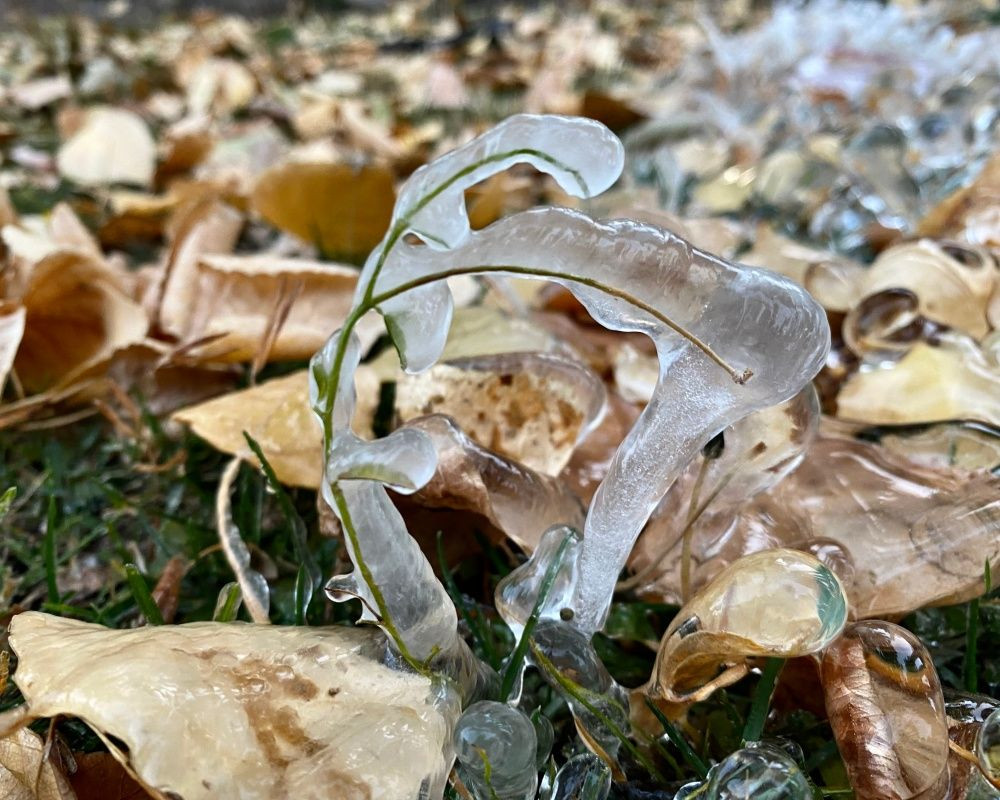 Ağrı'da termometreler eksi 8 dereceyi gösterdi - Sayfa 5