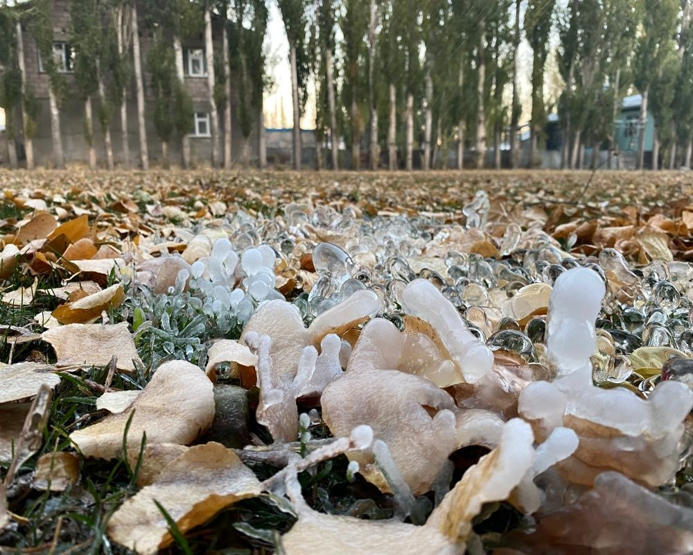 Ağrı'da termometreler eksi 8 dereceyi gösterdi - Sayfa 6