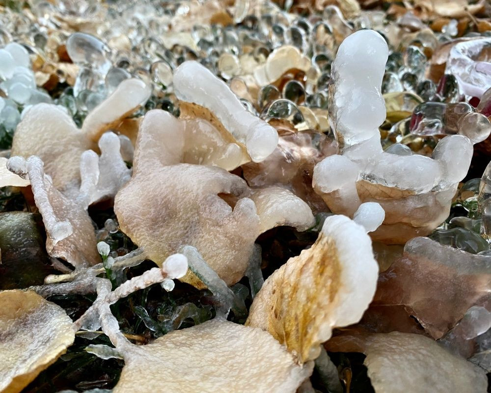 Ağrı'da termometreler eksi 8 dereceyi gösterdi - Sayfa 7