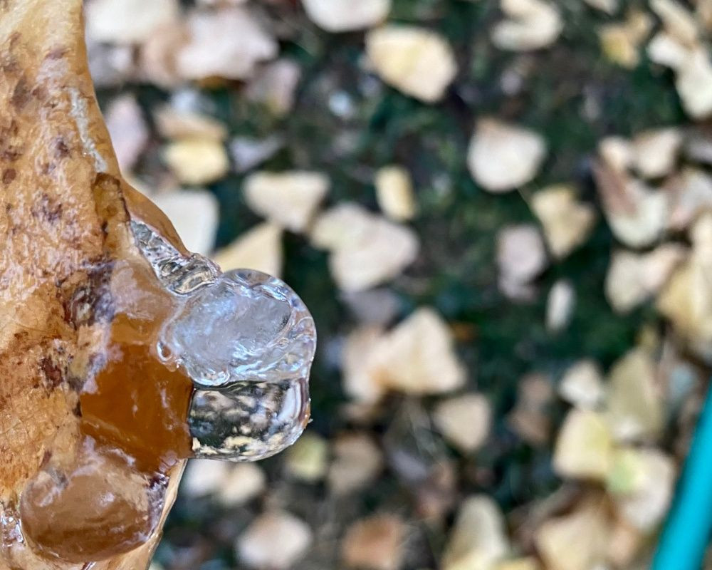 Ağrı'da termometreler eksi 8 dereceyi gösterdi - Sayfa 8