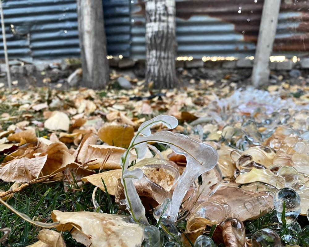 Ağrı'da termometreler eksi 8 dereceyi gösterdi - Sayfa 9