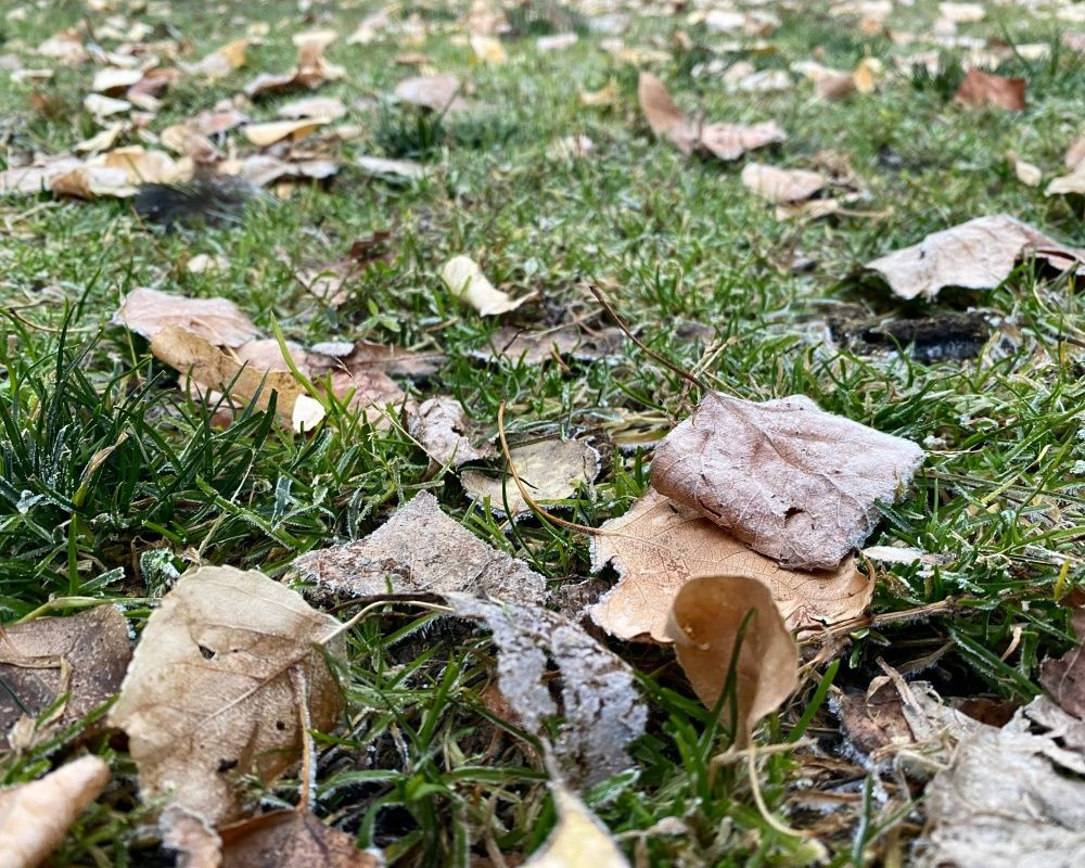 Ağrı'da termometreler eksi 8 dereceyi gösterdi - Sayfa 10