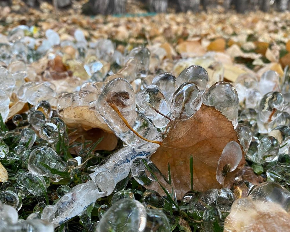 Ağrı'da termometreler eksi 8 dereceyi gösterdi - Sayfa 11