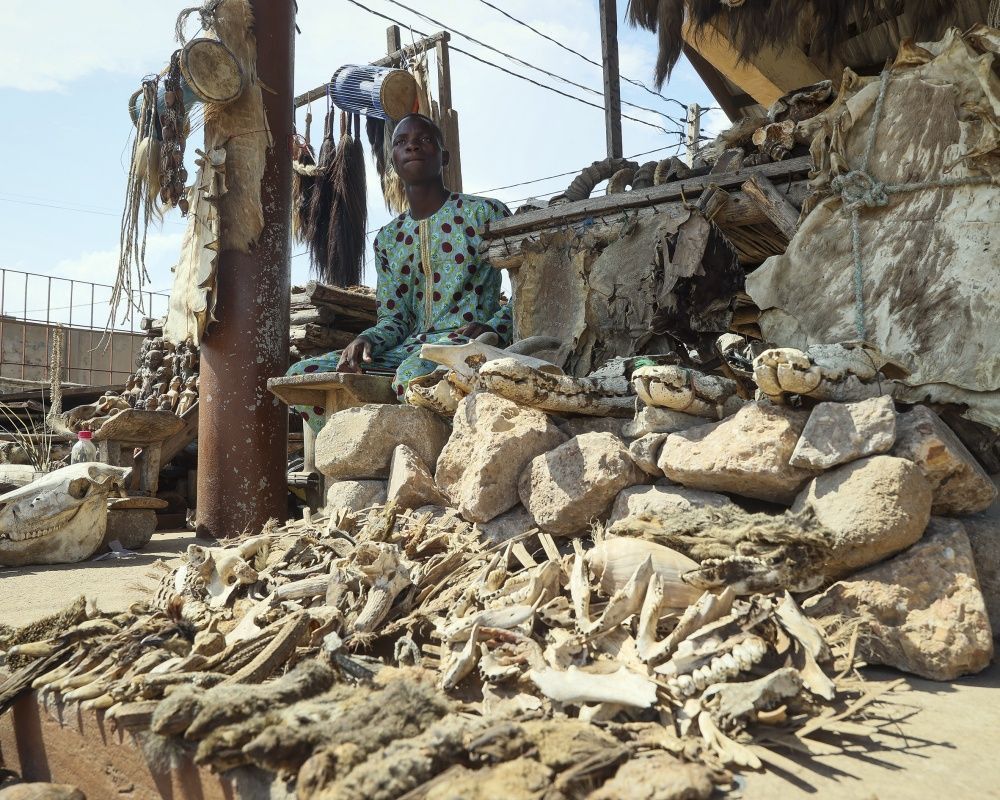 Togo'da dünyanın en ürkütücü pazarı: Akodessewa Pazarı - Sayfa 10