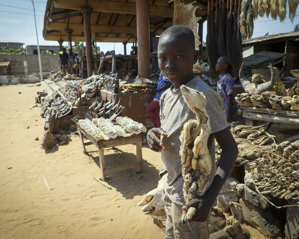 Togo'da dünyanın en ürkütücü pazarı: Akodessewa Pazarı - Sayfa 13