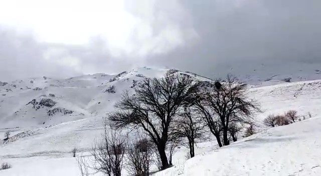 Kar Yüksekova'yı beyaza bürüdü... Kar kalınlığı 5 santimi buldu - Sayfa 6