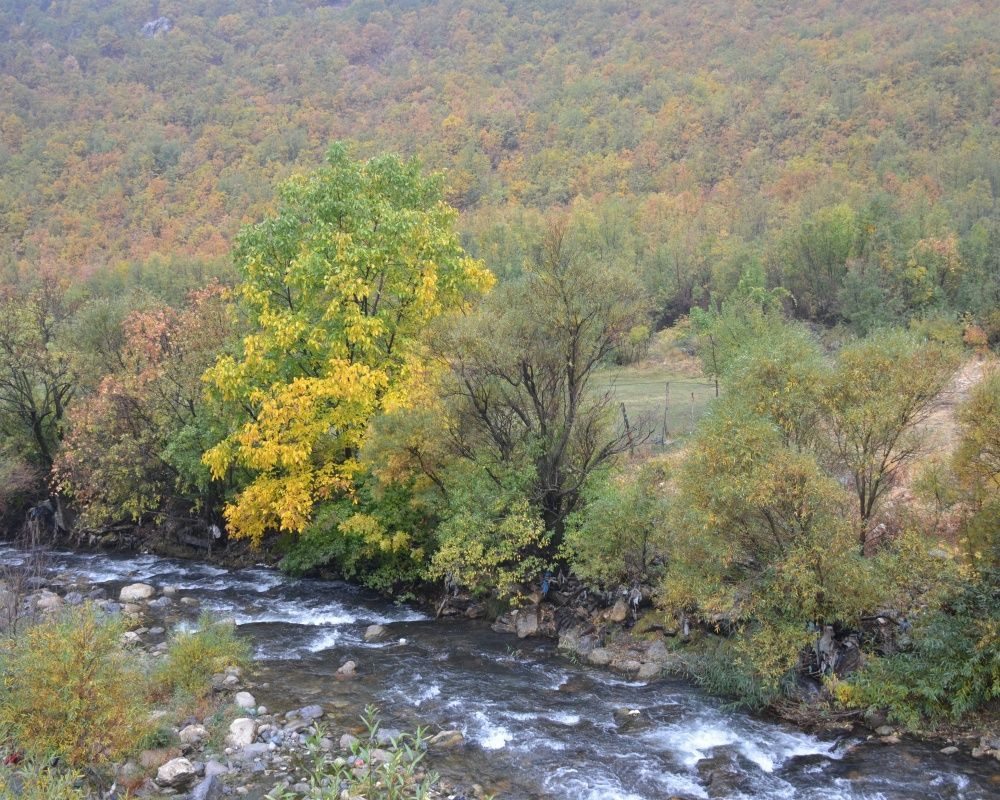 Şırnak’ta Karadeniz'i aratmayan manzara - Sayfa 10