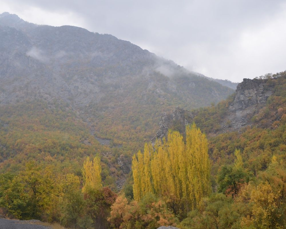 Şırnak’ta Karadeniz'i aratmayan manzara - Sayfa 12