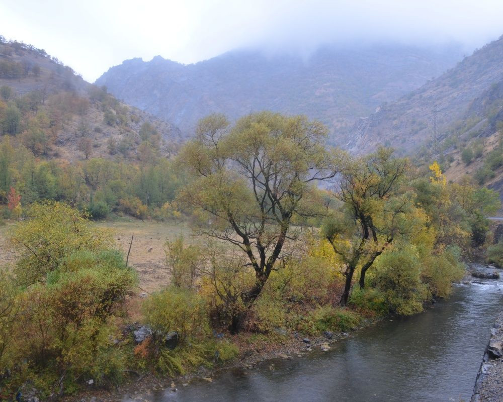 Şırnak’ta Karadeniz'i aratmayan manzara - Sayfa 13