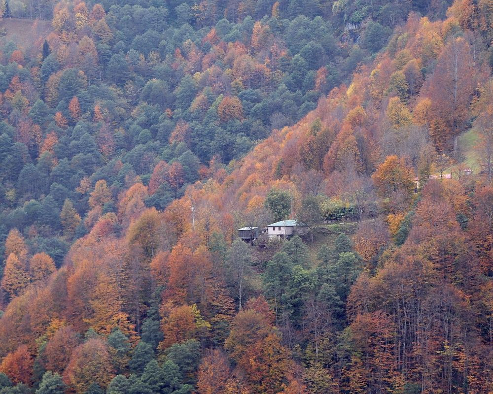 Trabzon'un 1600 rakımlı Hıdırnebi Yaylası'nda güz zamanı - Sayfa 5