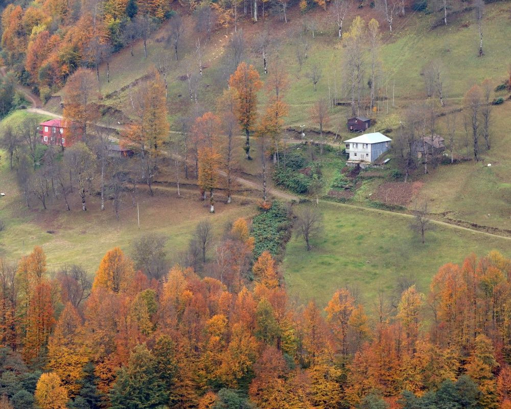 Trabzon'un 1600 rakımlı Hıdırnebi Yaylası'nda güz zamanı - Sayfa 6
