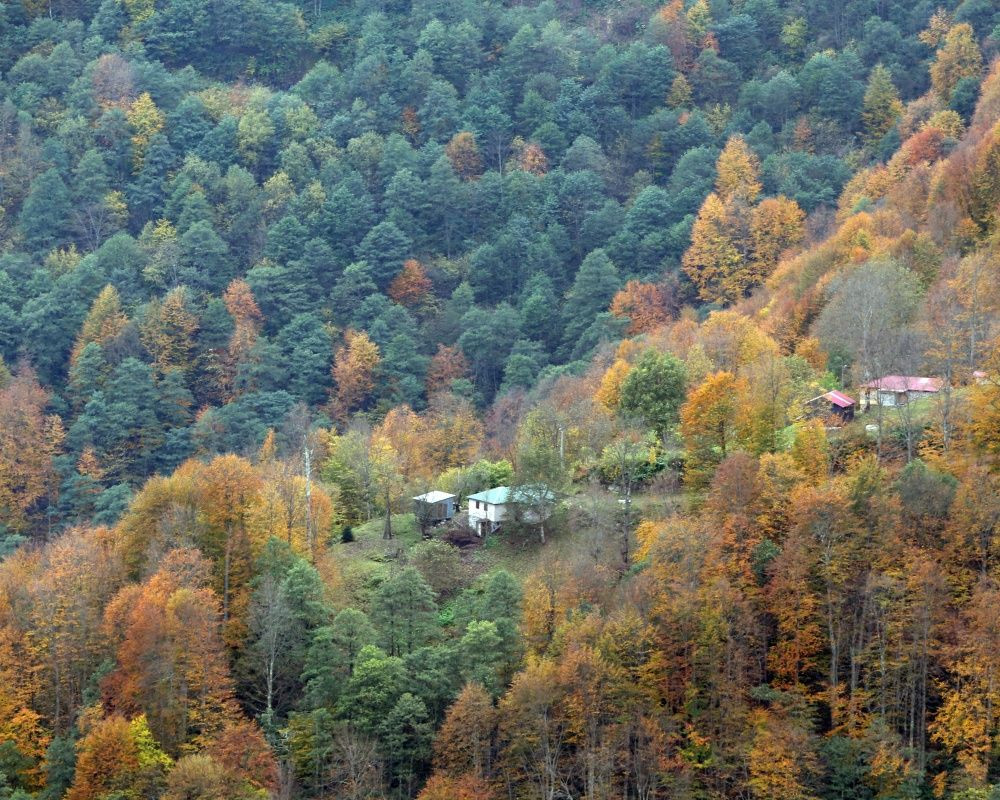 Trabzon'un 1600 rakımlı Hıdırnebi Yaylası'nda güz zamanı - Sayfa 8