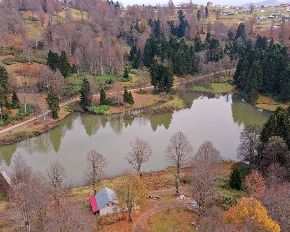 Trabzon'un 1600 rakımlı Hıdırnebi Yaylası'nda güz zamanı - Sayfa 9