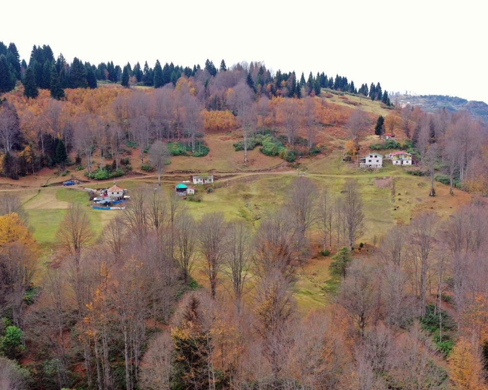 Trabzon'un 1600 rakımlı Hıdırnebi Yaylası'nda güz zamanı - Sayfa 10