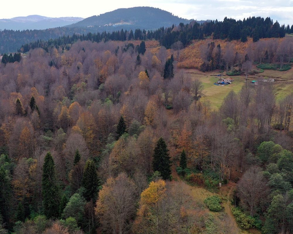 Trabzon'un 1600 rakımlı Hıdırnebi Yaylası'nda güz zamanı - Sayfa 11
