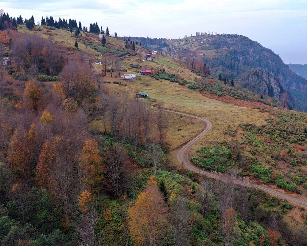 Trabzon'un 1600 rakımlı Hıdırnebi Yaylası'nda güz zamanı - Sayfa 12