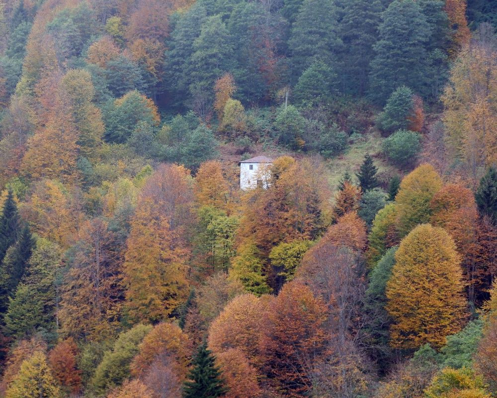 Trabzon'un 1600 rakımlı Hıdırnebi Yaylası'nda güz zamanı - Sayfa 13