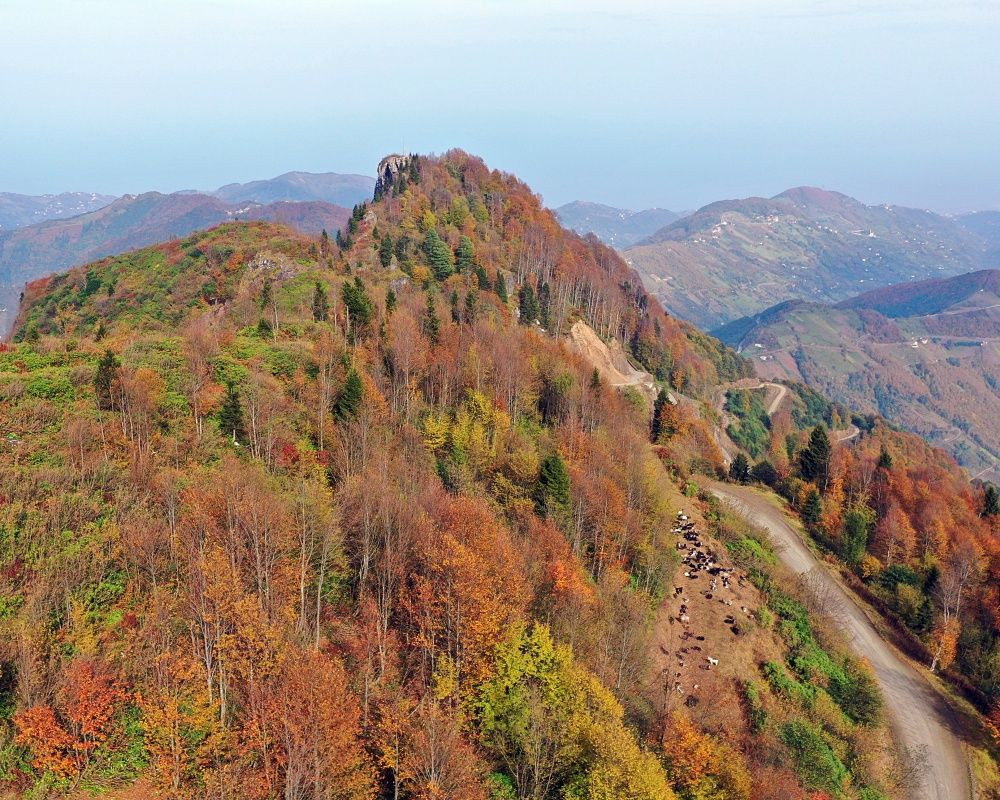 Trabzon'un 1600 rakımlı Hıdırnebi Yaylası'nda güz zamanı - Sayfa 16