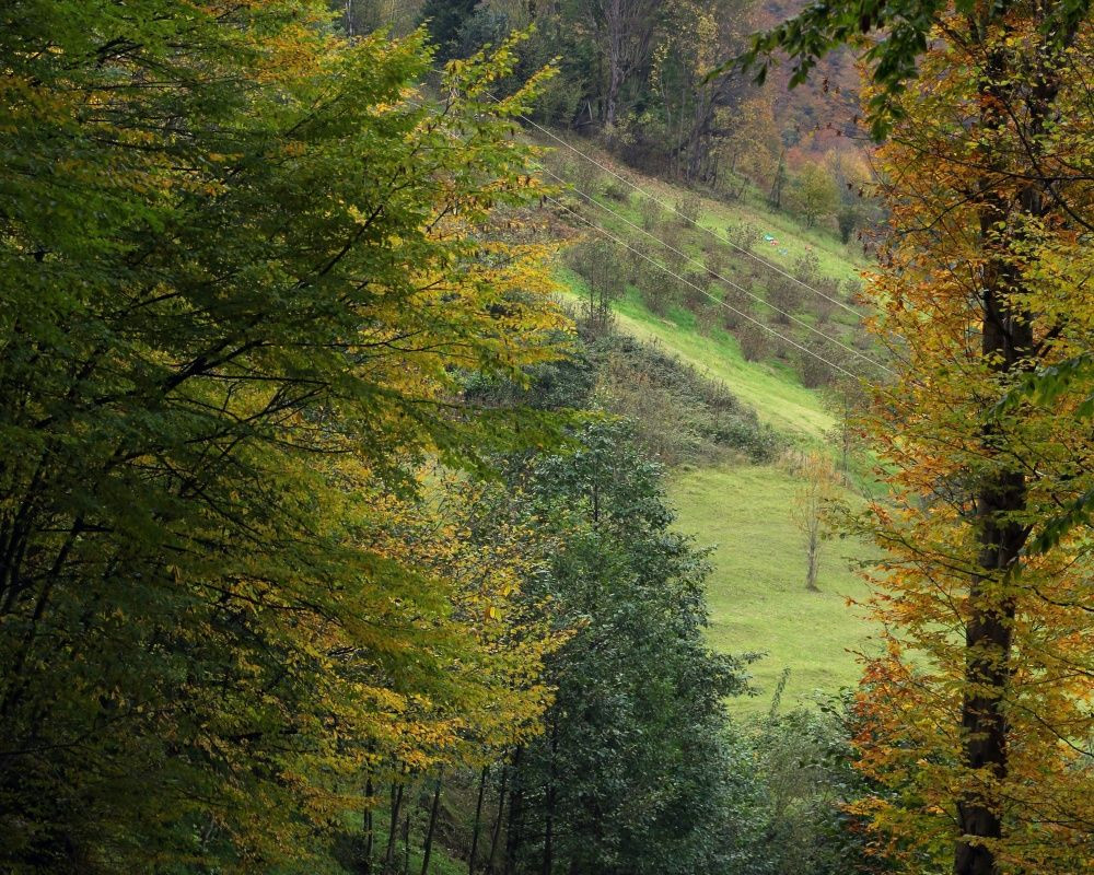 Trabzon'un 1600 rakımlı Hıdırnebi Yaylası'nda güz zamanı - Sayfa 18