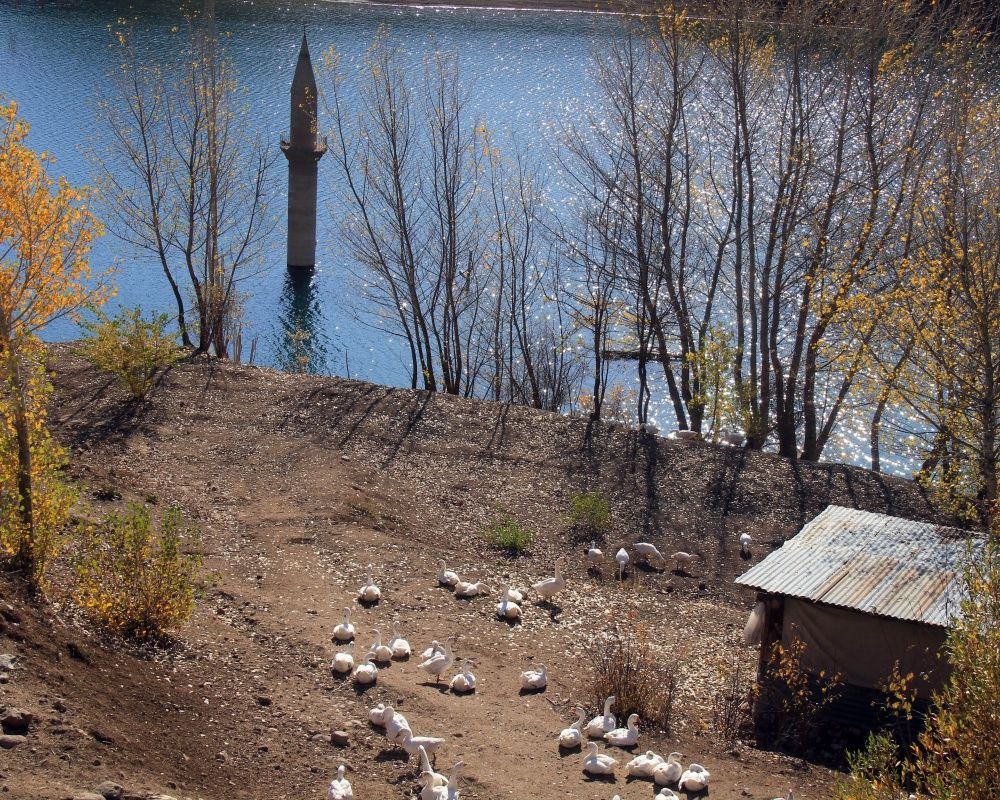 Sivas'ta baraj suyu çekildi, cami minaresi ortaya çıktı - Sayfa 13