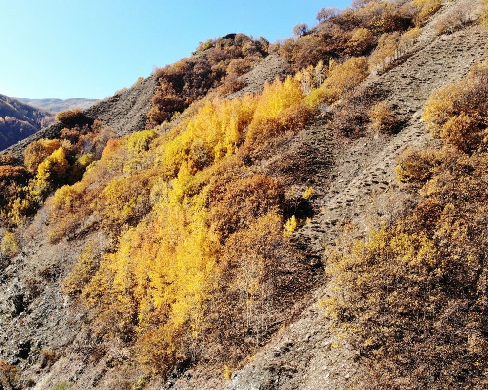 Muş'un Derecik Köyü fotoğraf sanatçılarının ilgi odağı oldu - Sayfa 6
