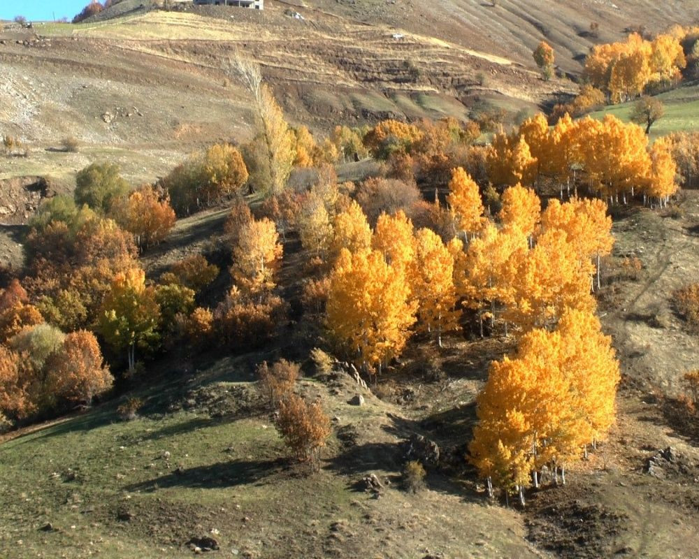 Muş'un Derecik Köyü fotoğraf sanatçılarının ilgi odağı oldu - Sayfa 10