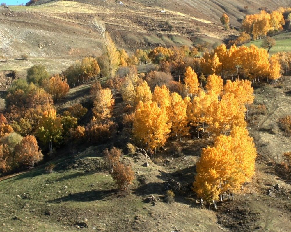Muş'un Derecik Köyü fotoğraf sanatçılarının ilgi odağı oldu - Sayfa 16