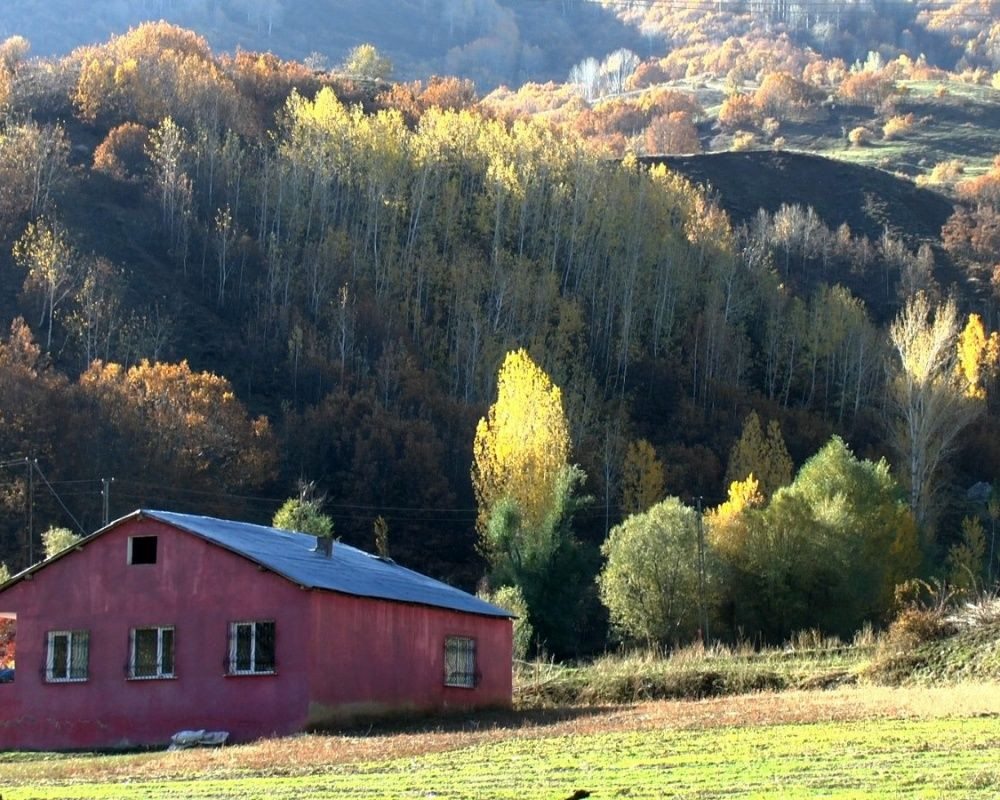 Muş'un Derecik Köyü fotoğraf sanatçılarının ilgi odağı oldu - Sayfa 18