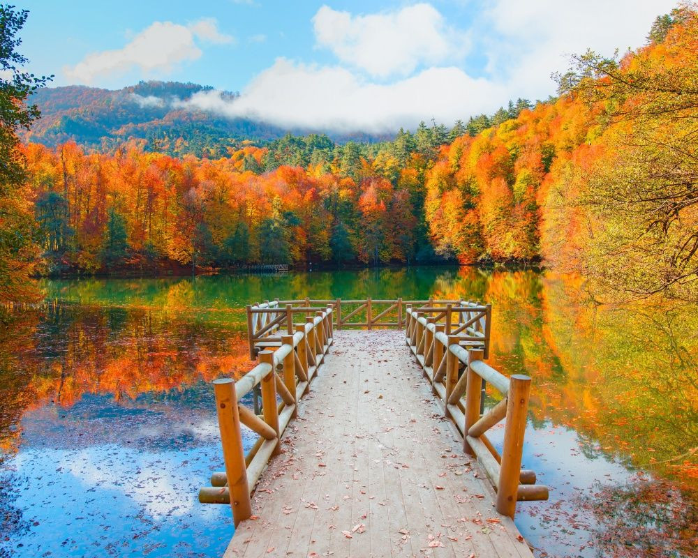 İşte çocukların Kasım ara tatilinde gezip görebileceği rotalar - Sayfa 8