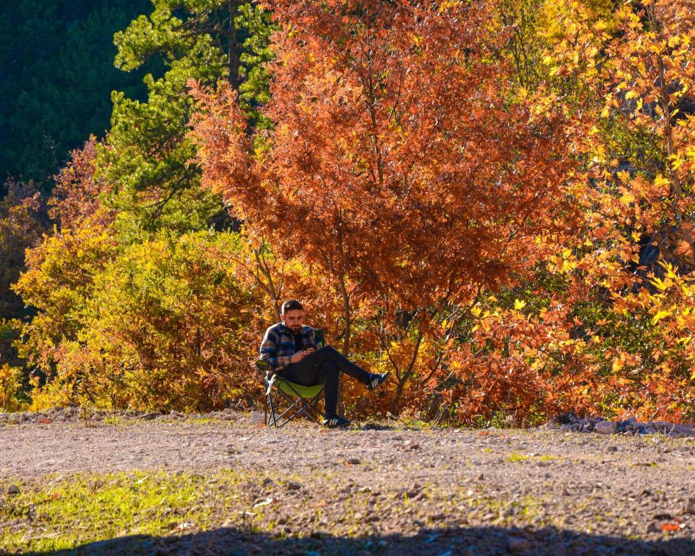 Balıkesir'deki Sındırgı ormanları düğün fotoğrafçılarının gözdesi oldu - Sayfa 6