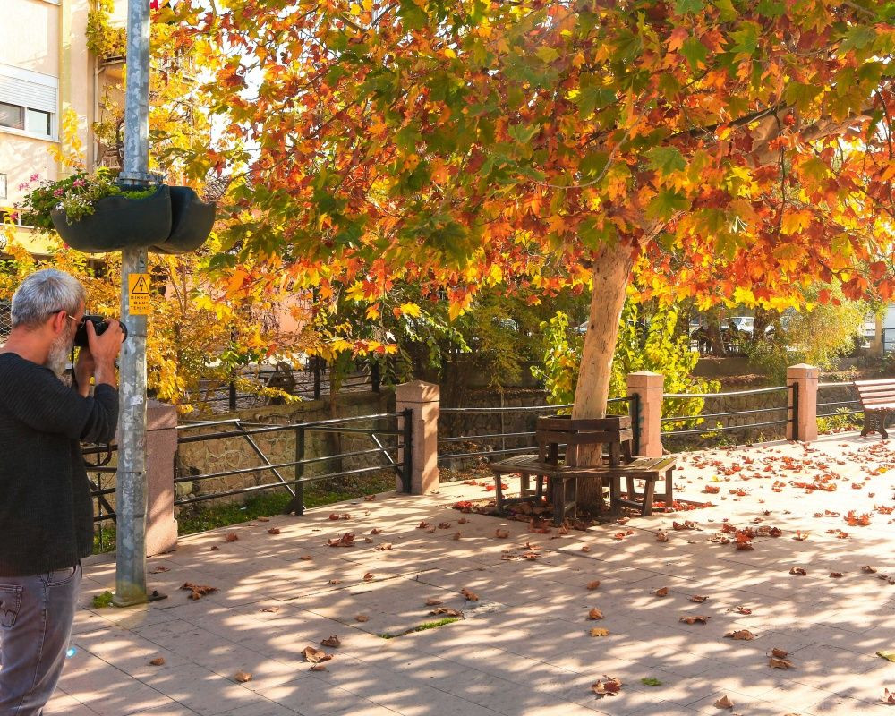 Balıkesir'deki Sındırgı ormanları düğün fotoğrafçılarının gözdesi oldu - Sayfa 16