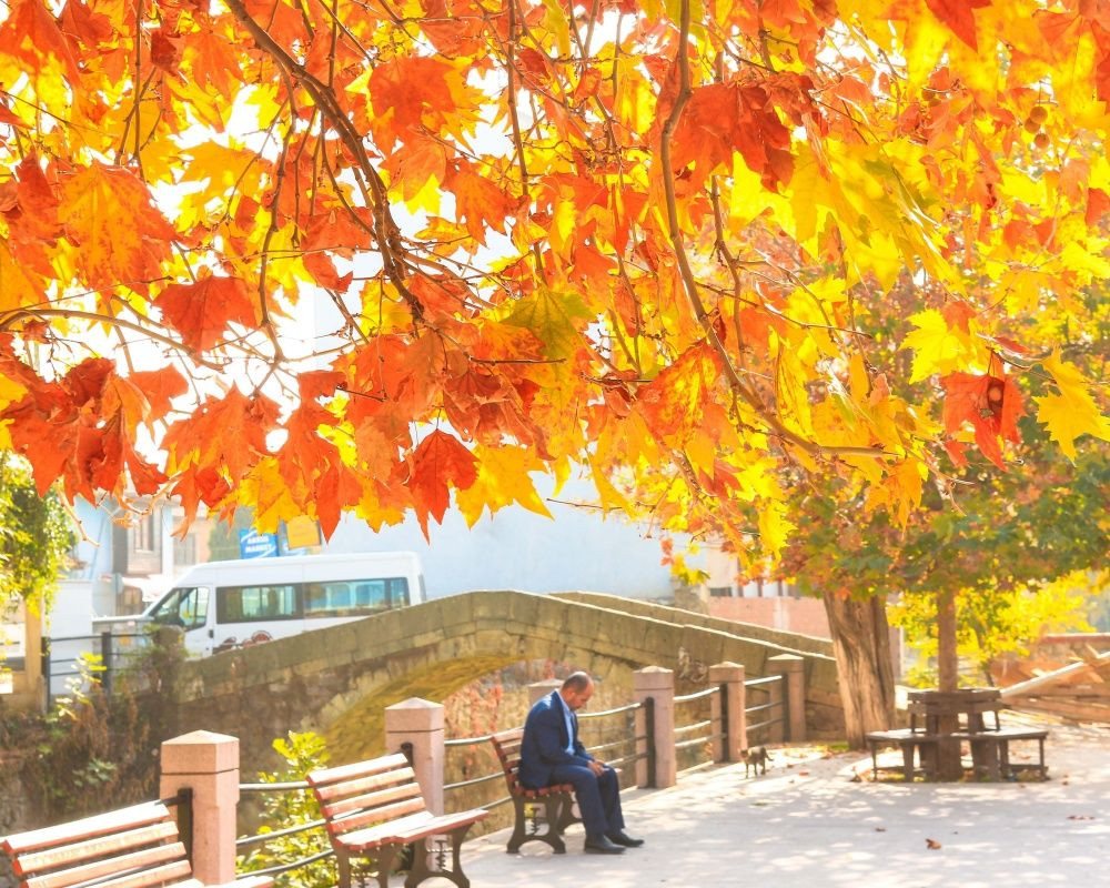 Balıkesir'deki Sındırgı ormanları düğün fotoğrafçılarının gözdesi oldu - Sayfa 17