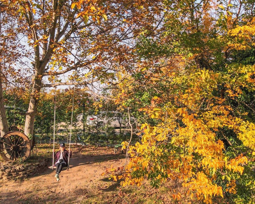 Balıkesir'deki Sındırgı ormanları düğün fotoğrafçılarının gözdesi oldu - Sayfa 19